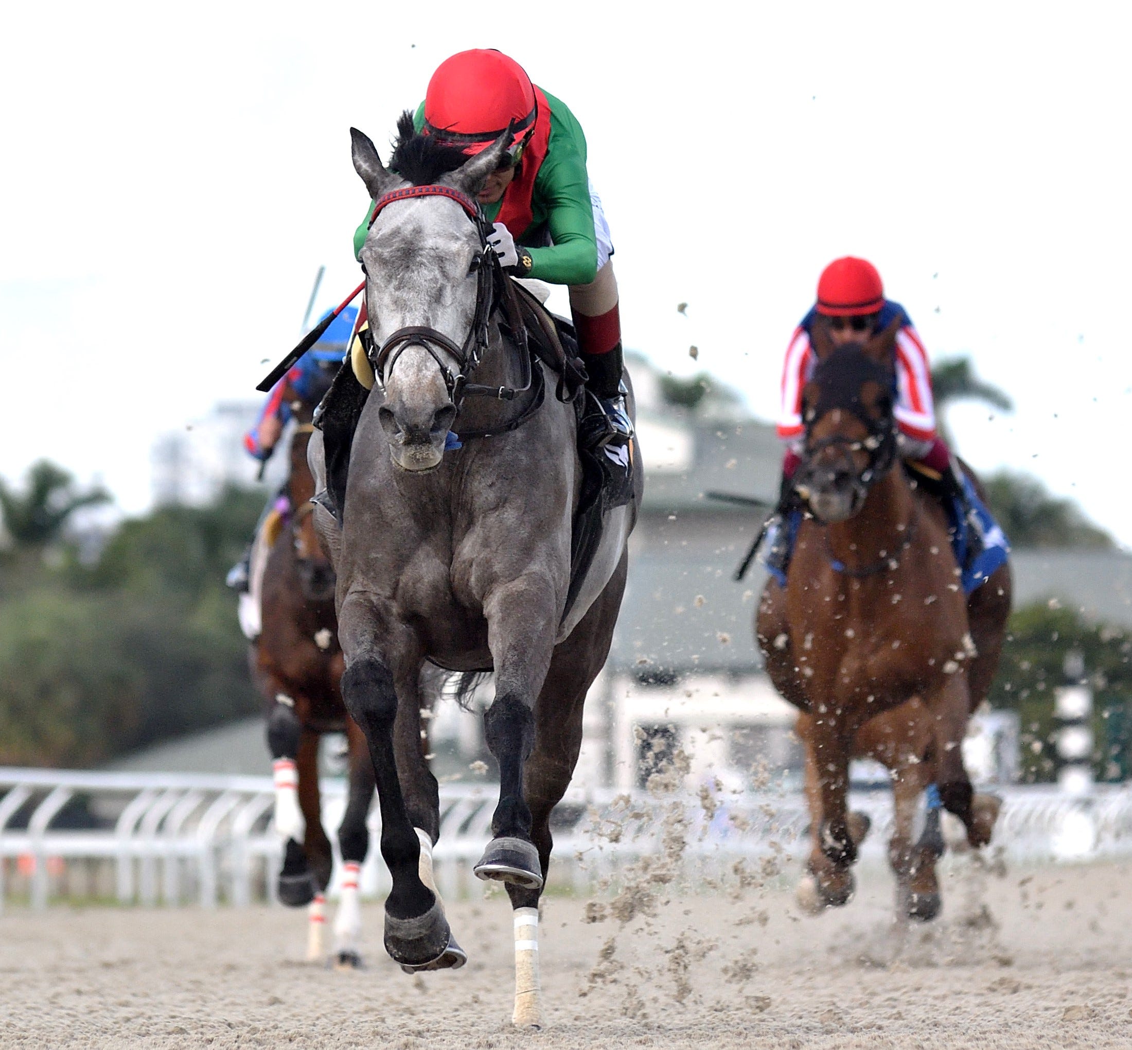 Romagna Mia takes surface and distance switch in stride, runs away in